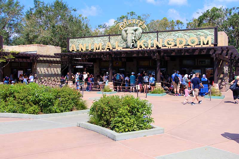 How to Activate Your Disney Armed Forces Salute Tickets