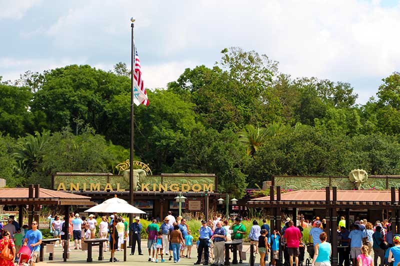 Your Introduction to Disney Resort Destination Security