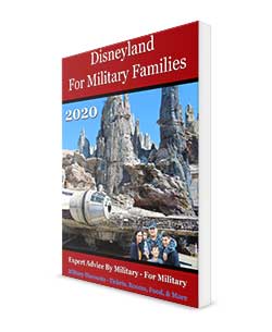 Disneyland for Military Families 2020