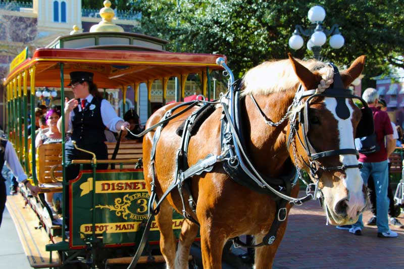 Disneyland Park Main Street Transportation