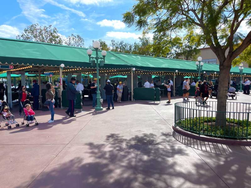 Disneyland Theme Park Security