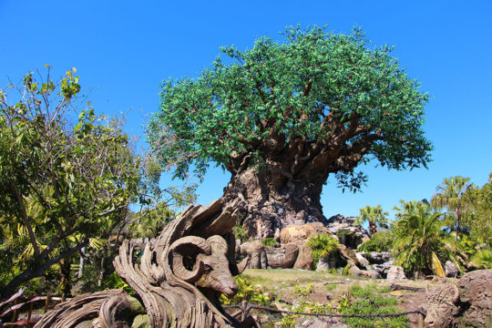 Disney Animal Kingdom Military Discounts