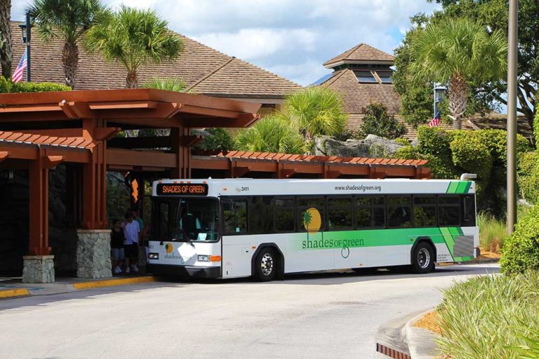 Shades of Green Buses Dual ID Check