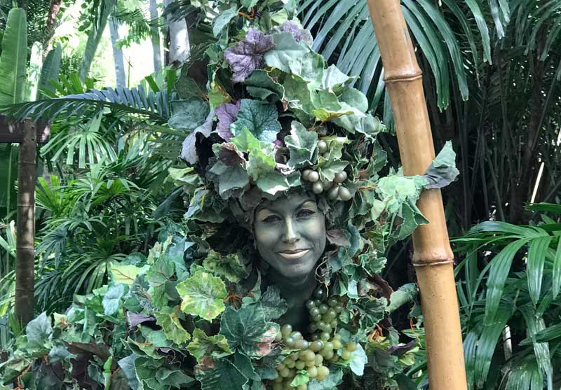 Divine at Disney's Animal Kingdom