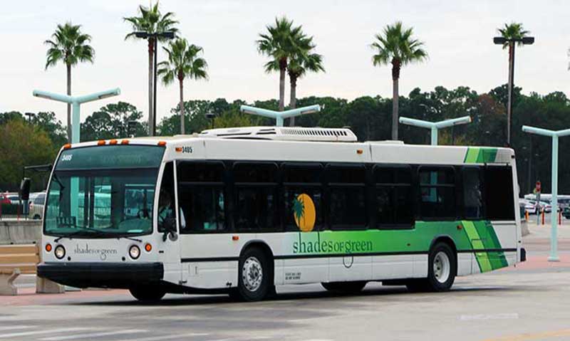 Shades of Green Transportation Options