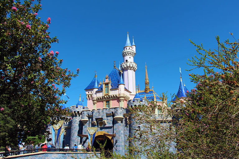 Disneyland Theme Park Reservation System