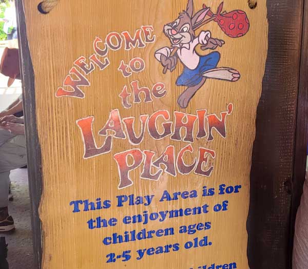 Splash Mountain Disney World’s classic water ride