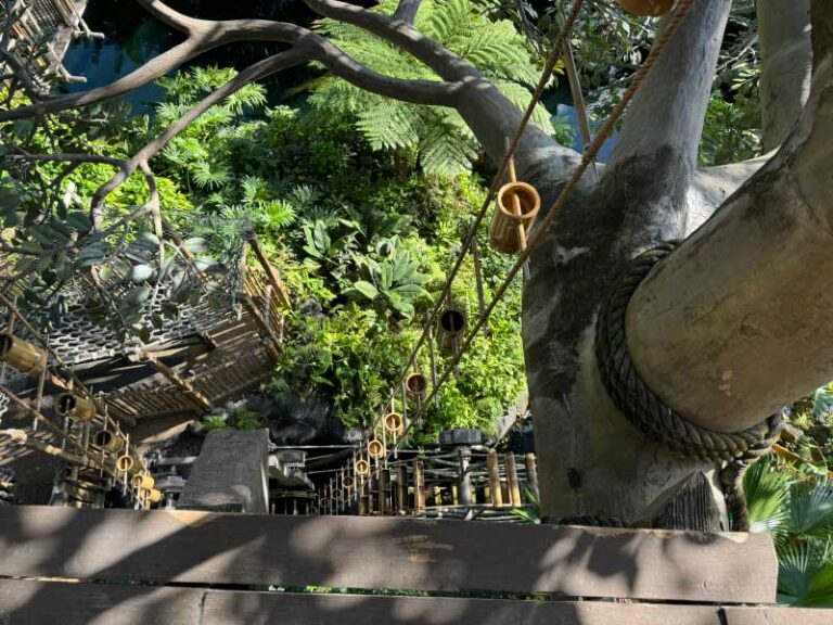 The Magic Kingdom's Swiss Family Treehouse in Adventureland - Military ...