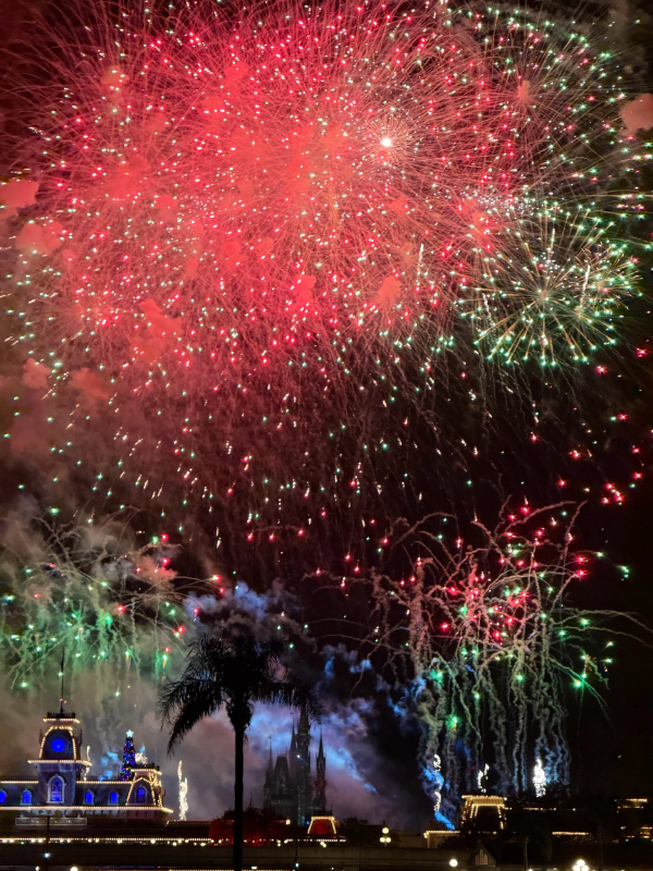 Colorful Happily Ever After fireworks viewed from a Magic Kingdom fireworks cruise