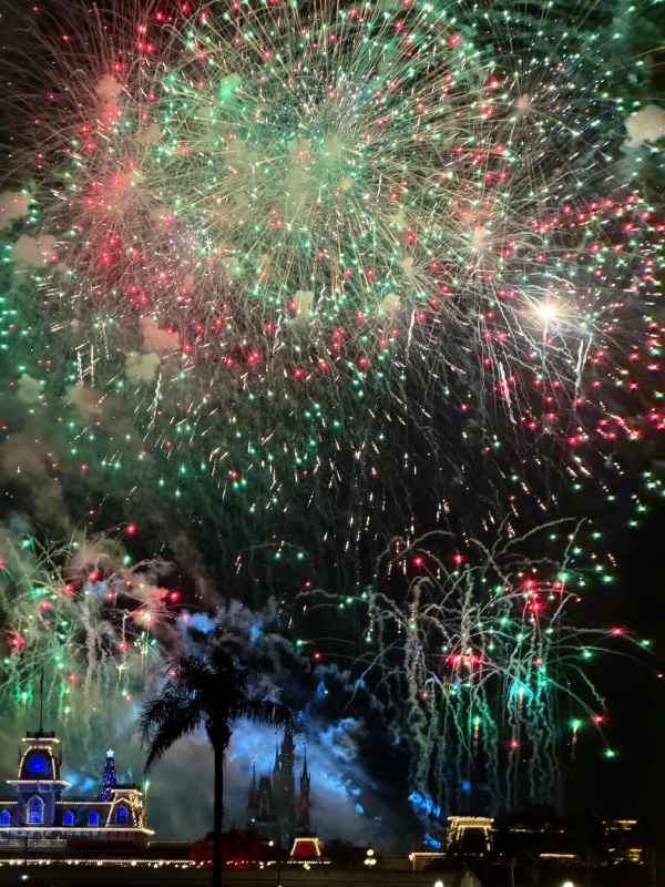 Happily Ever After fireworks above Magic Kingdom from our Seven Seas Lagoon cruise